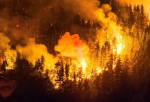 Patagonya'da yangın çıkaran iki İsraillinin, yangın bombalarıyla yakalanmasının ardından Arjantin ve Güney Amerika'dan sert tepki