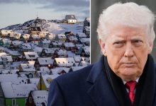 ABD Başkanı Donald Trump, Grönland konusunda Danimarka'ya destek veren Avrupa ülkelerine ek vergi getirdi