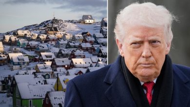 ABD Başkanı Donald Trump, Grönland konusunda Danimarka'ya destek veren Avrupa ülkelerine ek vergi getirdi