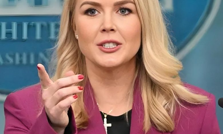 Beyaz Saray Sözcüsü Karoline Leavitt ile bir gazeteci arasında Renee Good'un ICE ajanı tarafından öldürülmesi konusunda sert tartışma yaşandı