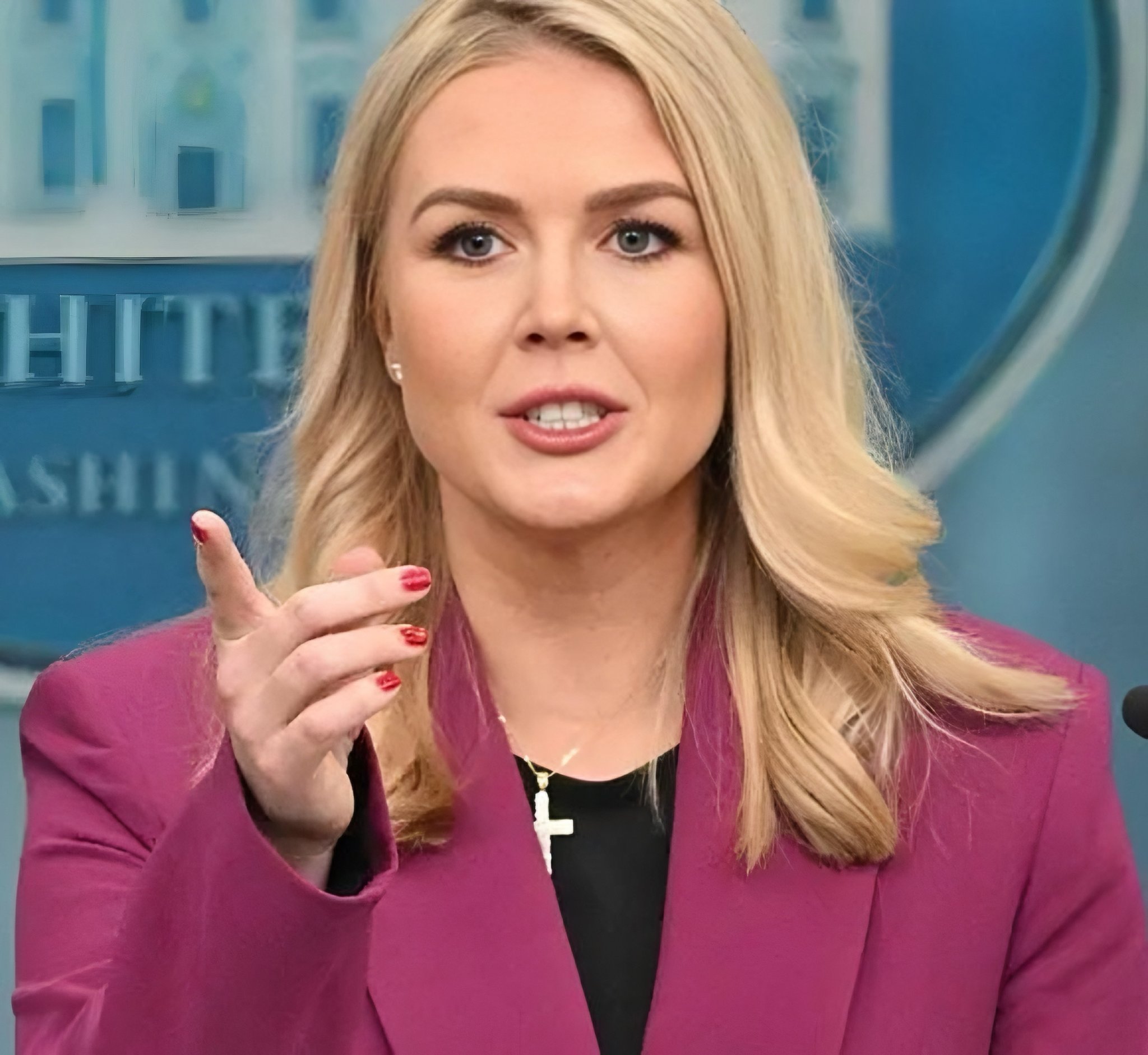 Beyaz Saray Sözcüsü Karoline Leavitt ile bir gazeteci arasında Renee Good'un ICE ajanı tarafından öldürülmesi konusunda sert tartışma yaşandı