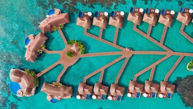 Maldivler su üstü villa tatilinde WTS farkı 1 Maldivler su üstü villa konsepti, WTS’nin para iadesi garantisi ve cazip kampanyalarıyla Türkiye ve Avrupa pazarında güçlü bir ivme yakalıyor.