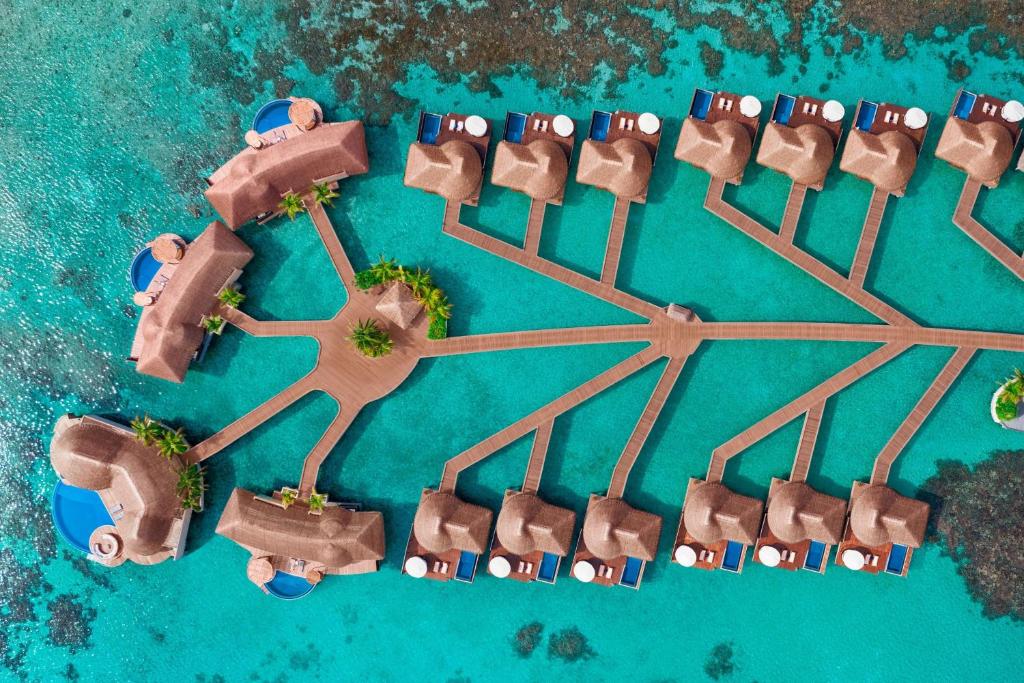 Maldivler su üstü villa tatilinde WTS farkı 1 Maldivler su üstü villa konsepti, WTS’nin para iadesi garantisi ve cazip kampanyalarıyla Türkiye ve Avrupa pazarında güçlü bir ivme yakalıyor.