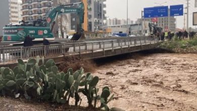 Mersin ve Adana'da kuvvetli yağışlar sonrası derelerin taşması sonucu sel felaketi yaşanıyor