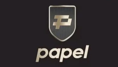 PAPEL Elektronik Para ve Ödeme Hizmetleri AŞ üzerinden suç gelirlerinin finansal sisteme sokulduğu iddiası dikkat çekti.