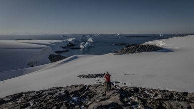 Mehmet Fatih Kacır, 10. Antarktika Bilim Seferi’nin Türkiye’nin danışman ülke hedefi ve kalıcı bilim üssüne katkı sağlayacağını söyledi.