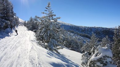 Bulgaristan’ın dağlık iç kesimlerinde konumlanan Borovets kayak, kış sporlarını doğa ve ulaşılabilirlik ekseninde bir araya getiriyor.