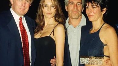 Epstein kurbanlarıyla röportaj yapan televizyoncu Savannah Guthrie'nin 86 yaşındaki annesi kaçırıldı