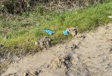 Günlerdir kayıp olarak aranan 38 yaşındaki Çinli iş insanı Yong Wang’ın cansız bedeni Arnavutköy’de toprağa gömülü halde bulundu.