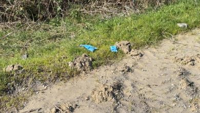 Günlerdir kayıp olarak aranan 38 yaşındaki Çinli iş insanı Yong Wang’ın cansız bedeni Arnavutköy’de toprağa gömülü halde bulundu.