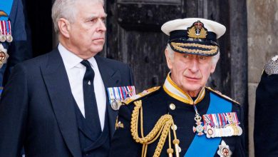 Epstein bağlantıları sonrası yeni bir soruşturma başlatıldı. Andrew yaklaşık 11 saat gözaltında kalırken, Kral Charles “kanun kendi yolunu izlemeli” mesajı verdi.