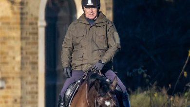 Epstein dosyalarındaki yeni ifşalar ve kamuoyundaki tepkinin ardından Prens Andrew’e at binme yasağı getirildiği öne sürüldü.
