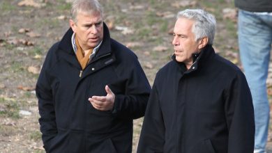 prens andrewin epstein baglantilari 1