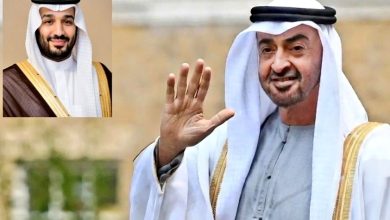 Suudi Arabistan veliaht prensi Muhammed bin Selman'ın felç olan BAE Devlet Başkanı Zayed Al Nahyan'ı zehirlettiği ileri sürüldü