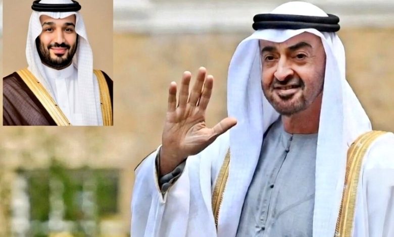 Suudi Arabistan veliaht prensi Muhammed bin Selman'ın felç olan BAE Devlet Başkanı Zayed Al Nahyan'ı zehirlettiği ileri sürüldü