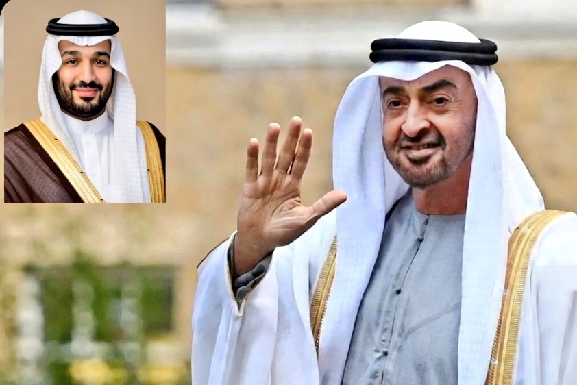 Suudi Arabistan veliaht prensi Muhammed bin Selman'ın felç olan BAE Devlet Başkanı Zayed Al Nahyan'ı zehirlettiği ileri sürüldü