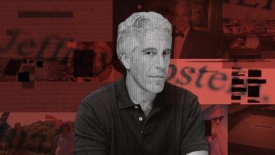 Jeffrey Epstein’ın kaldığı cezaevindeki bir gardiyan, Epstein’ın hücresinde ölü bulunmasından kısa süre önce internette onunla ilgili arama yaptı.