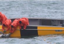 Güney Afrika’da temmuz ayında açılması planlanan lüks bir tatil köyü, deniz yaşamı üzerindeki olası etkileri nedeniyle tartışma konusu oldu.