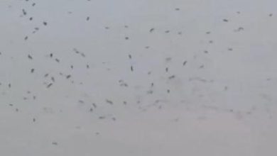 ABD İran Savaşı'nda İsrail'den Körfez Ülkeleri'ne kadar birçok yerde yaşanan doğa felaketleri yaklaşan büyük bir yıkımın habercisi olarak değerlendiriliyor