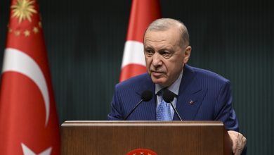 Cumhurbaşkanı Erdoğan, Kabine Toplantısı sonrası yaptığı açıklamada geçen hafta okullarda yaşanan silahlı saldırıların tüm yönleriyle ele alındığını söyledi.