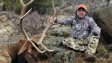 ABD’li milyoner ve büyük av tutkunu Ernie Dosio, Gabon’daki Lope-Okanda yağmur ormanlarında katıldığı av turu sırasında fillerin saldırısına uğradı.