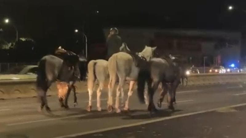 İtalya’nın başkenti Roma’da Cumhuriyet Bayramı hazırlıkları sırasında yaşanan olay, gece saatlerinde kentin en işlek güzergahlarından birinde paniğe neden oldu.