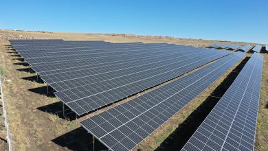 Türkiye’de güneş enerjisi santrallerinden elektrik üretimi, günlük bazda yılın en yüksek seviyesine ulaştı