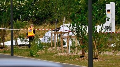 Fransa'da paraşüt uçak düşmesi sonucu 11, Suudi Arabistan'da ise helikopterin düşmesi sonucu 14 kişi hayatını kaybetti