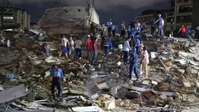 Art arda iki şiddetli deprem yaşayan Venezuela'da arama kurtarma köpeği Tsunami, onlarca insanın kurtarılmasını sağladı