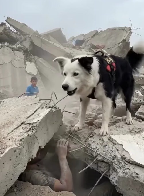 tsunami2