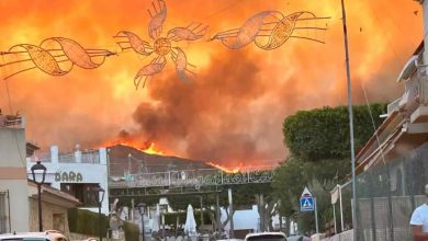 İspanya'da orman yangını! 12 kişi yanarak öldü 1 İspanya'nın güneyindeki Endülüs bölgesinin Almeria kentine bağlı Los Gallardos ilçesinde çıkan orman yangınında 12 kişi yaşamını yitirdi