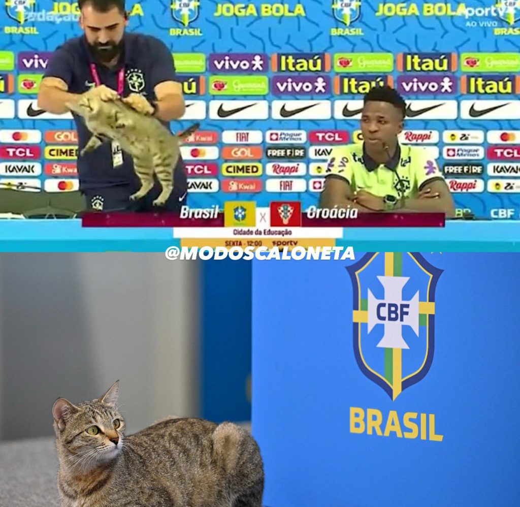 Dünya Kupası'nda Brezilya'yı kedinin laneti mi eledi? 1 kedi1