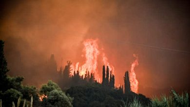 Yunanistan’da orman yangını fabrikalara sıçradı 1 yunanistan-orman-yangini-son-durum